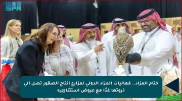 ختام المزاد.. فعاليات المزاد الدولي لمزارع إنتاج الصقور تصل إلى ذروتها غدًا مع عروض استثنائية